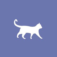 かさいふみ🐾Web制作学習中 (@fumi_mol) 's Twitter Profile
