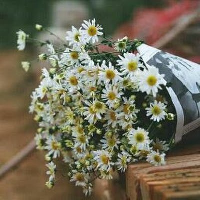vinhtran7992's profile picture. UWKP3S8L
3HTRJXQP