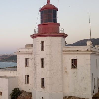 mohammedtahar44's profile picture. 