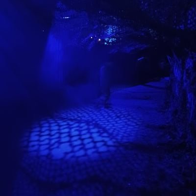 LittleBearRue04's profile picture. 