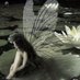 fairy (@etiarana) Twitter profile photo fairy (@etiarana) Twitter profile photo