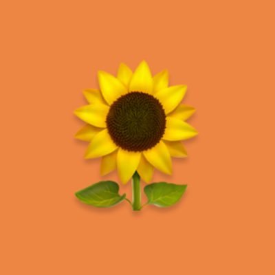 ぬんさんのプロフィール画像