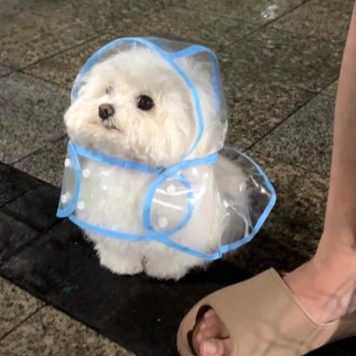 zzzz578t9's profile picture. DMส่งรูปมาด้วยนะคะเฟรมรอตอบ🫶🏻💕