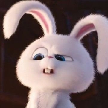 your_favebunny's profile picture. 