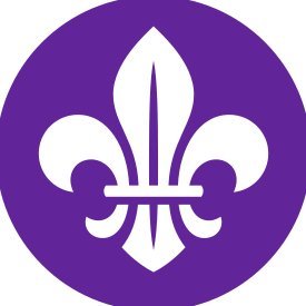 World Scouting Profile