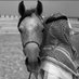 سلطان (@s0l9_) Twitter profile photo سلطان (@s0l9_) Twitter profile photo