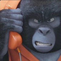 GORILLA● (@chronicle_tips) 's Twitter Profile