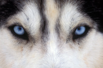 Tonya882's profile picture. 