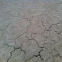 Doug.Paris-White - @bardobingo - Twitter