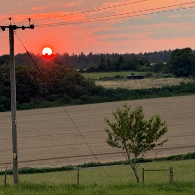 moosehead51's profile picture. 