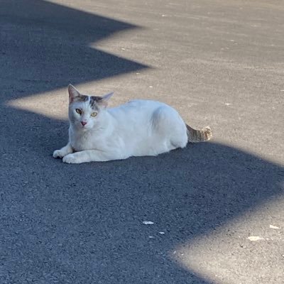 malakhalik_'s profile picture. unair’24