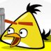 Chuck Bird (@jayveelloyd77) Twitter profile photo Chuck Bird (@jayveelloyd77) Twitter profile photo