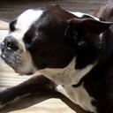 Nancy Squires - @NancySquires - Twitter