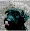 Scarlet McBride - @ScarletMcBride1 - Twitter