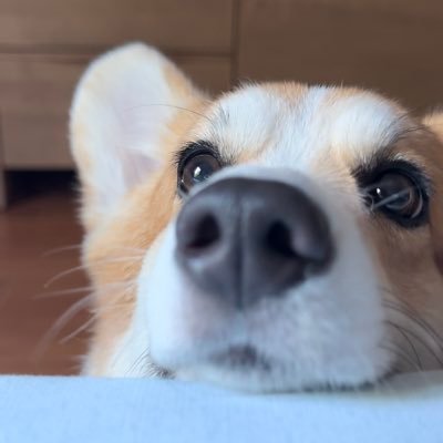 ampさんのプロフィール画像