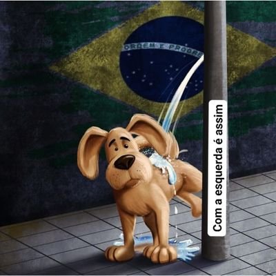Patriota,sempre vou lutar pelo meu país ‼️☝😎🇧🇷🇧🇷🇧🇷🇧🇷