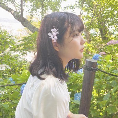 ✧✧✧✧✧