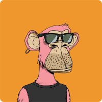 Zastra (@zastrahub) Twitter profile photo