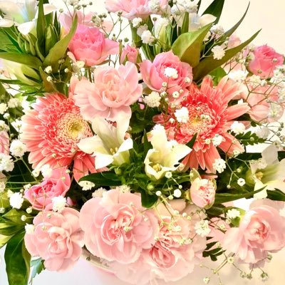 イマミヤさんのプロフィール画像
