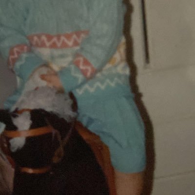 Nikoleboydxo's profile picture. 