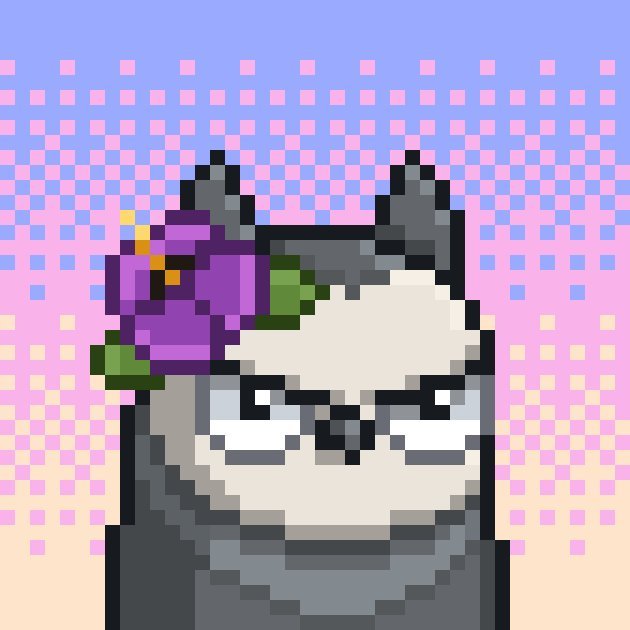 KokoKokokenzix's profile picture. 