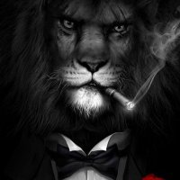 KRYPTO (@metaverseca) 's Twitter Profile Photo KRYPTO (@metaverseca) 's Twitter Profile Photo