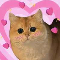 Xting (@pengxitinggg) 's Twitter Profile Photo Xting (@pengxitinggg) 's Twitter Profile Photo