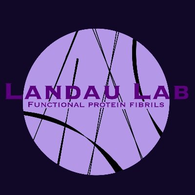 🔬Functional Protein Fibrils Lab 🧬 | Lab daily life | Exploring the fascinating world of protein self-assembly
