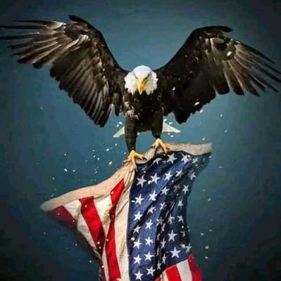 DajanRazak's profile picture. Razztikas Decor. Expert in Plaster Board, Skimming, Grafiato, Acrylic Painting, Aluminium Fab & Construction. We Deliver yur Expectations👌🏿