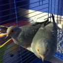 alexandra marrufo - @alex_marrufo1 - Twitter