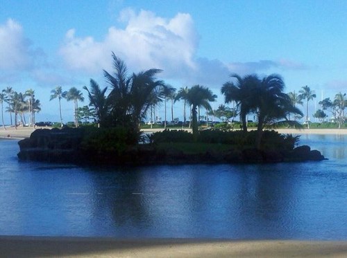 justatthebeach's profile picture. Nashville Real Estate/Surrounding Areas & Children's Consignment