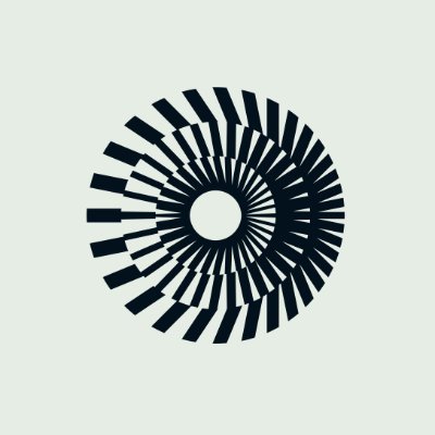 deBridge Foundation Profile
