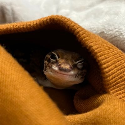 watanabeforest's profile picture. You smiled and talked to me of nothing and I felt that for this I had been waiting long.