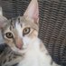 Ceylin Yelmen (@ceylnssy) Twitter profile photo Ceylin Yelmen (@ceylnssy) Twitter profile photo