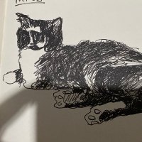 Sahizer SAMUK (Carignani) (@sahizersamuk) 's Twitter Profile