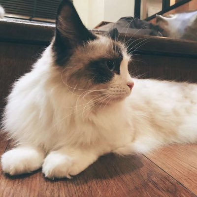 836569951's profile picture. 