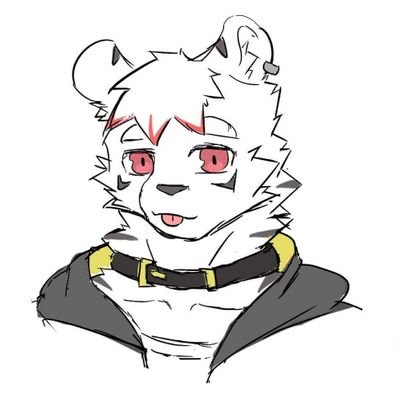 龍貓さんのプロフィール画像