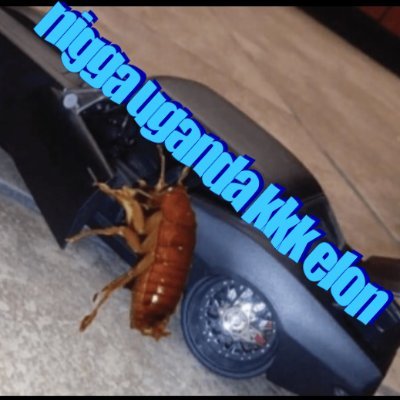 N_U_K_E_sol's profile picture. N.U.K.E