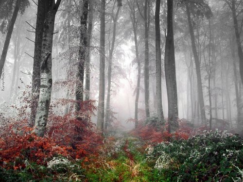 AdamTadeo's profile picture. 