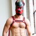 Xylo 🐶 (@fitmusclepup) Twitter profile photo Xylo 🐶 (@fitmusclepup) Twitter profile photo