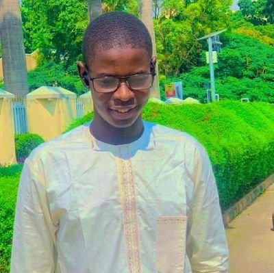 nasdeenmgudu001's profile picture. 