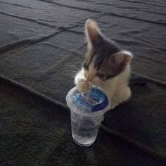nieoyldedinkinw's profile picture. 