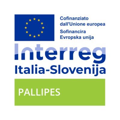 The #crayfish A. #PALLIPES in the area between #Italy and #Slovenia: sentinel of the #ecosystem 🦞
#Interreg #EU #program Italia-Slovenija