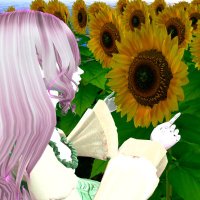 「SQ」i AM @VRC🟠 (@sqam_vrc) 's Twitter Profile