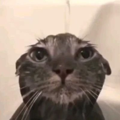 frankazzo188629's profile picture. 