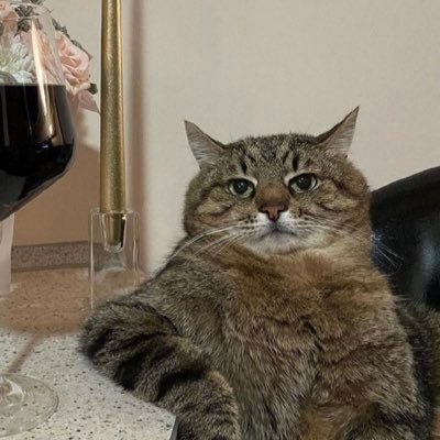 Etxy272022's profile picture. Finanzen,Politik und News