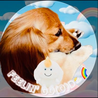 りさ♪(Lisa♪)‎🤍🌈@काज़े🌞🍃🥕🍅🥦🧄🥑 (@lisa_hehn) / X