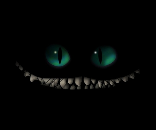 lavere70's profile picture. 