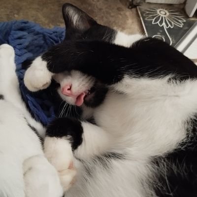 Lari_nemo's profile picture. •João 1:1 | única rede social que realmente interajo