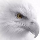 Gerardo Elias - @GerardoEli65234 - Twitter